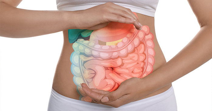 Closeup view of woman with illustration of abdominal organs on her belly against white background